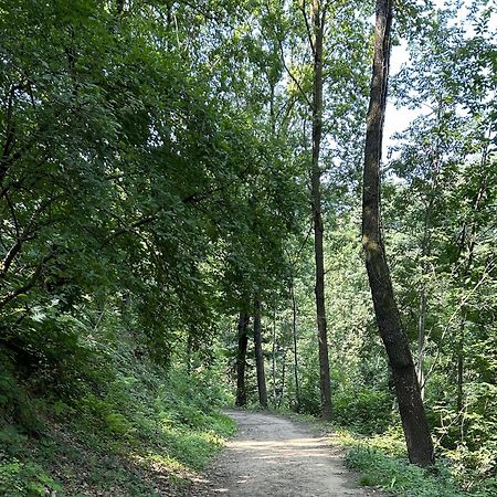 ベルガモIl Giardino Di Berbech Citta Alta-Ulivoアパートメント エクステリア 写真