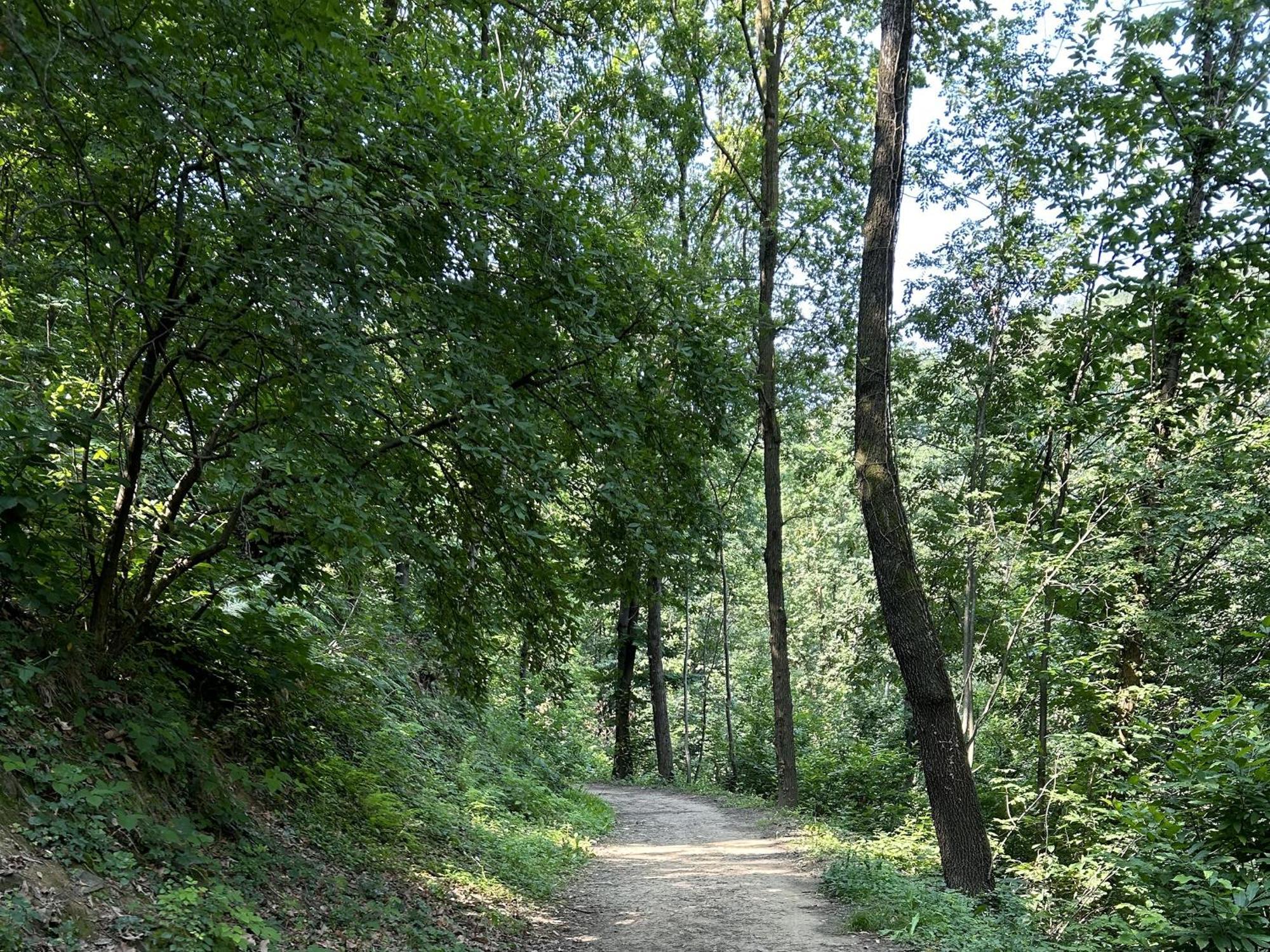 ベルガモIl Giardino Di Berbech Citta Alta-Ulivoアパートメント エクステリア 写真
